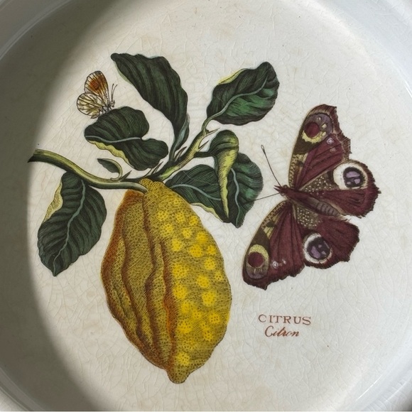 Vintage 1972 Susan Williams-Ellis Citron design Portmeirion 7.5” bowl - Picture 6 of 10